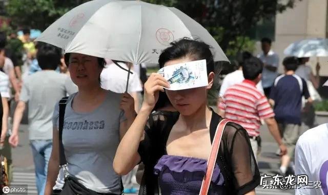 秋老虎从什么时候开始?为什么叫秋老虎?