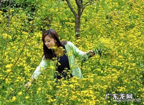 秋老虎从什么时候开始？为什么叫秋老虎？