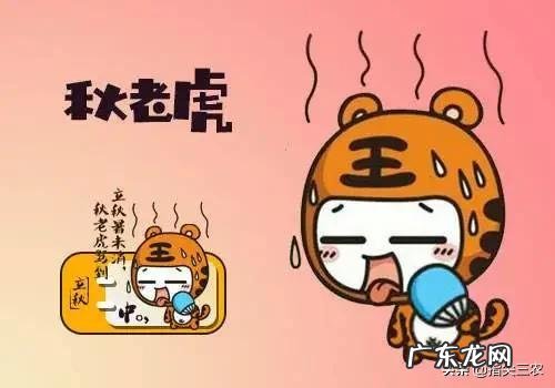 秋老虎从什么时候开始?为什么叫秋老虎?