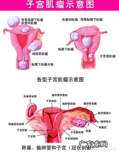 打了宫颈癌疫苗，就可以高枕无忧了吗？
