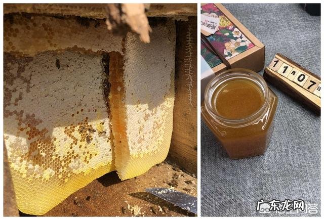 什么蜂蜜才算是真正的土蜂蜜,土蜂蜜是如何定义的?