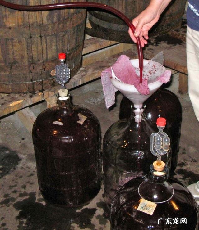 自酿葡萄酒对健康有害吗?