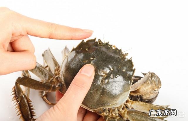 螃蟹邮过来咋保存?