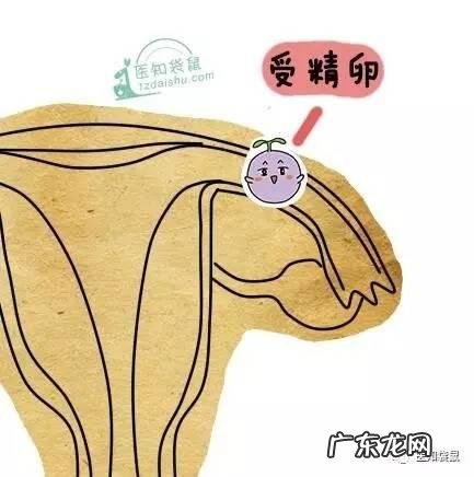 孕妈妈感冒了怎么办?可以吃药吗?