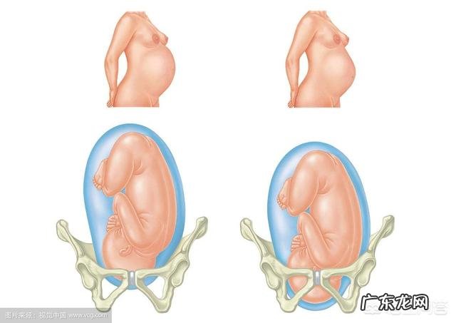 初产妇一般什么时候胎宝宝会入盆?