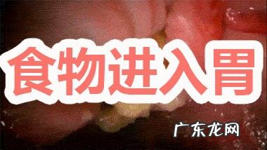 饭后到底该运动还是该休息?