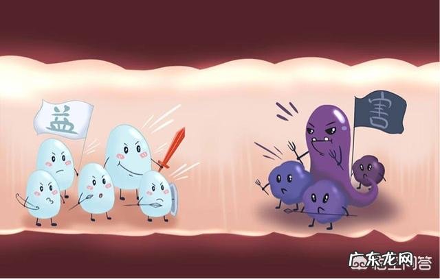 婴儿吃益生菌有哪些好处?