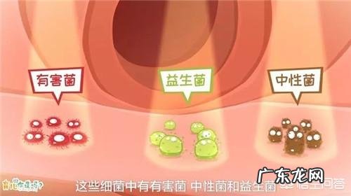 婴儿吃益生菌有哪些好处？