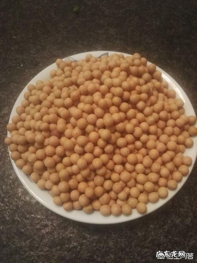 煮豆子的水有营养成分吗?喝了对人的身体有好处吗?