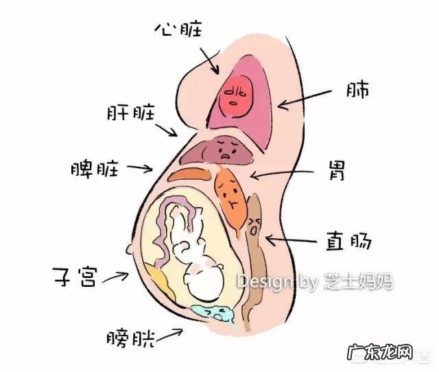 妊娠期、哺乳期出现便秘怎么办？