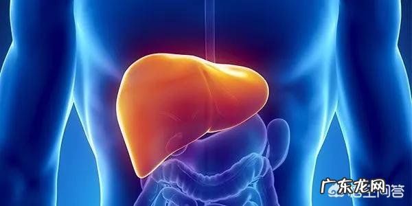 做肝功能检查时应注意哪些问题?