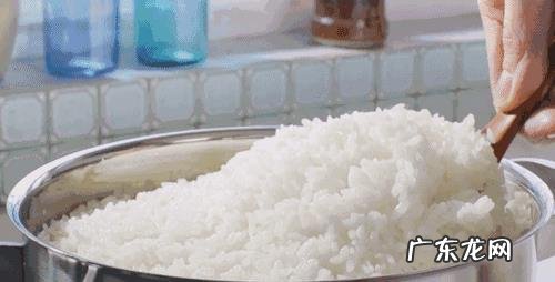 碳水化合物是什么?