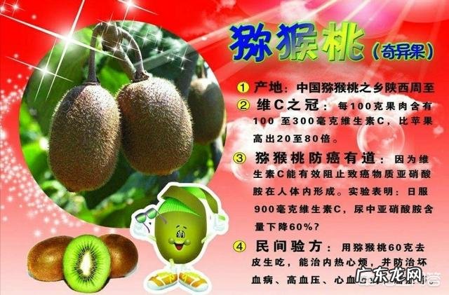 怀孕了到底能不能吃猕猴桃?