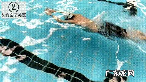初学者该怎么练习游泳?