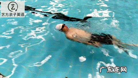 初学者该怎么练习游泳?