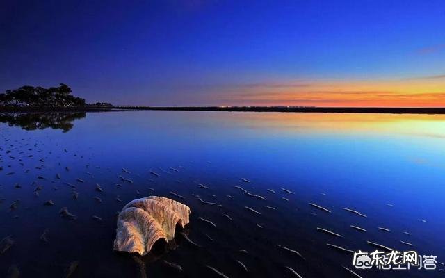 初学者该怎么练习游泳？