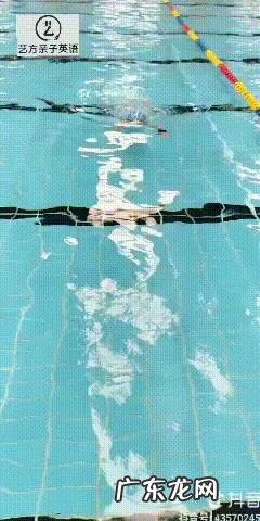 初学者该怎么练习游泳？