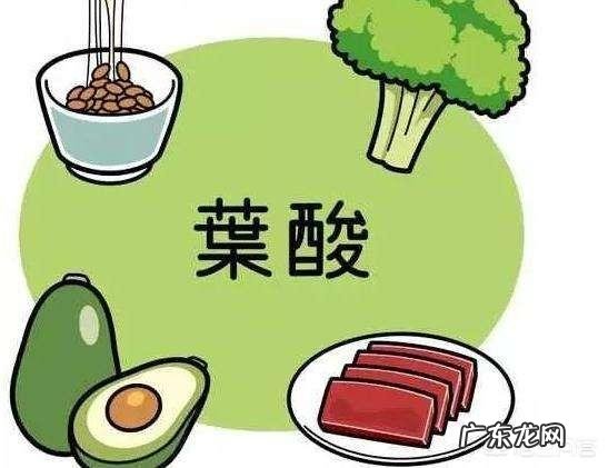 哪些食物富含叶酸,不同孕期应该如何科学补充叶酸?