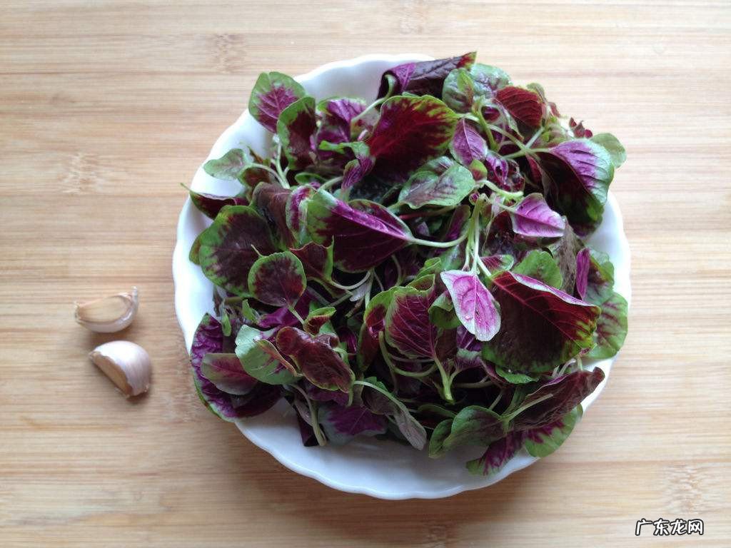 雪苋菜怎么做好吃