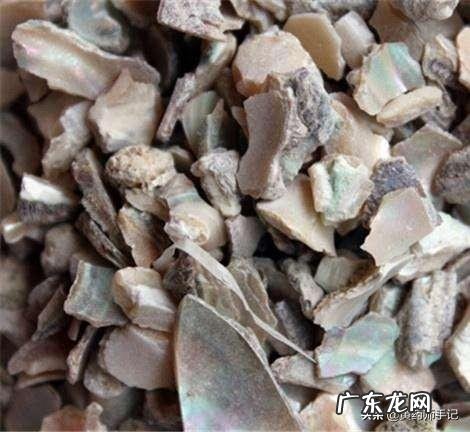 为什么一些中药要煅制如石决明?煅石决明与生石决明药性有什么不同?