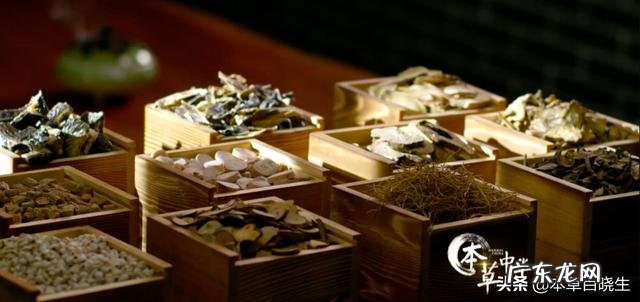 为什么一些中药要煅制如石决明?煅石决明与生石决明药性有什么不同?