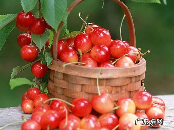 吃樱桃有什么禁忌吗？
