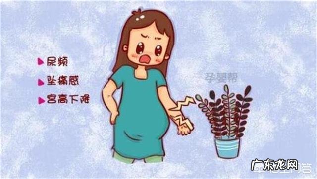 入盆是一种什么感觉?