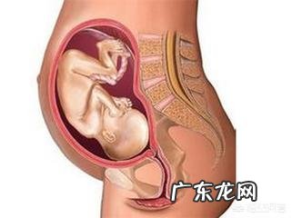 入盆是一种什么感觉?