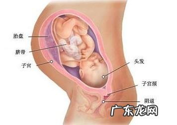 入盆是一种什么感觉?