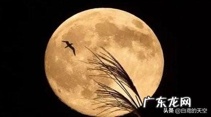 2019 民间俗语“十五的月亮十六圆”,今年的月亮十几圆,为什么?有啥科学依据啊?