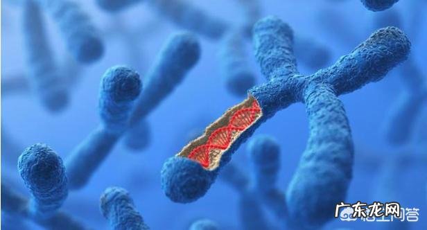 怀孕流产是什么原因呢?为什么会流产呢?