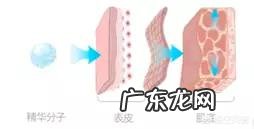 孕妇能用普通护肤品吗?