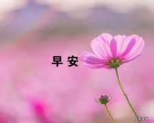 适合发朋友圈成熟的句子