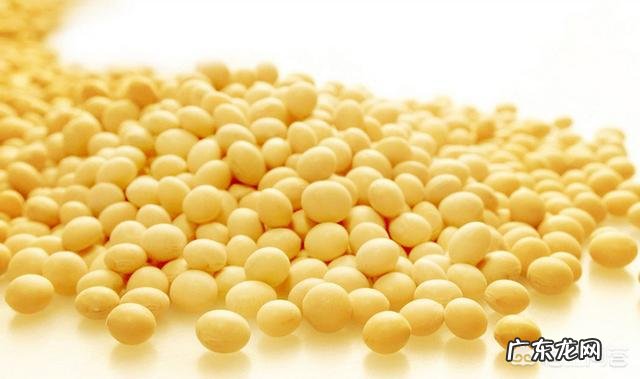 吃虾皮能补钙吗?有哪些科学依据?