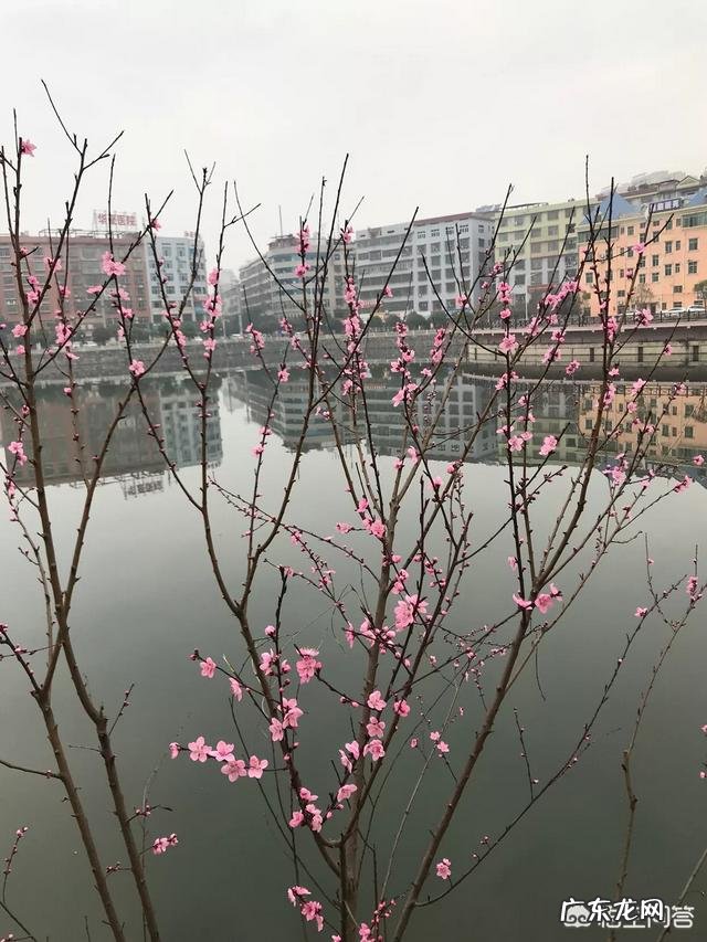 艾灸前、中、后应注意哪些事项？