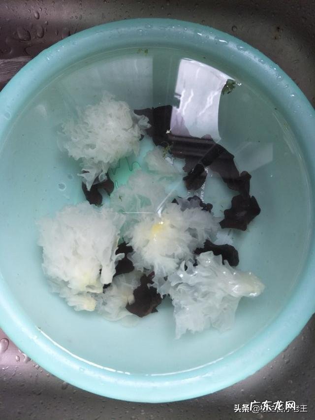 黑木耳和银耳有什么不同？