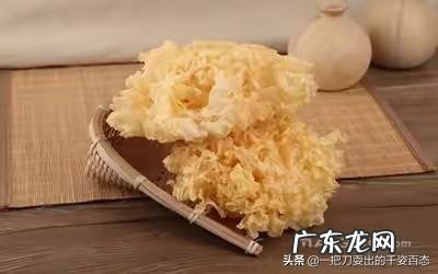 黑木耳和银耳有什么不同？