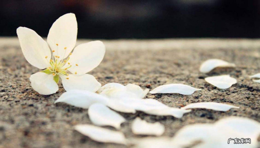 恋爱伤感说说句子