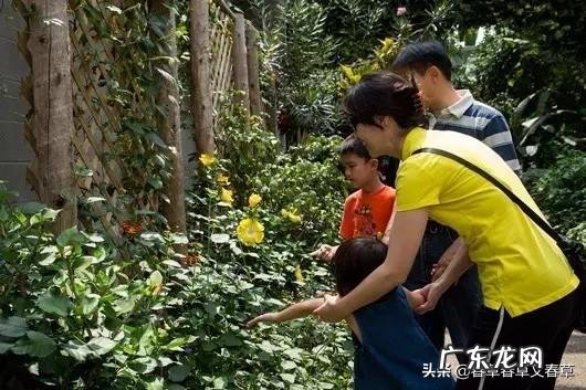 儿童教育是个难槛,如何教育三岁大孩子?