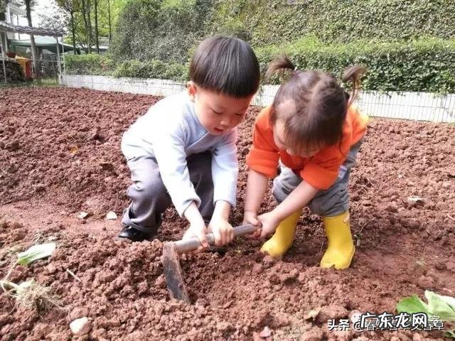 儿童教育是个难槛,如何教育三岁大孩子?