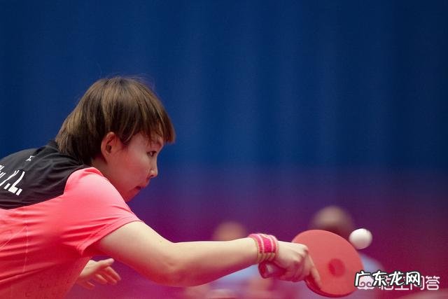2019乒乓球日本公开赛落下帷幕。5个单项冠军花落谁家?如何评价他们的表现?