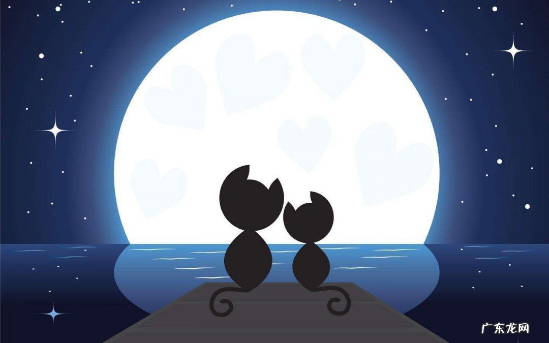 适合男生的七夕礼物