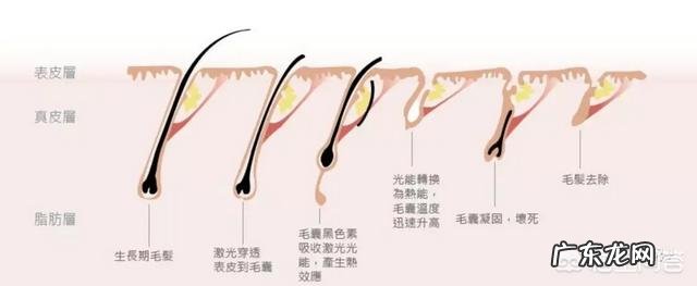Angelababy美背动人,有哪些有效的背部保养方法?