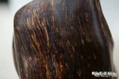 如何区别沉香和沉香木？