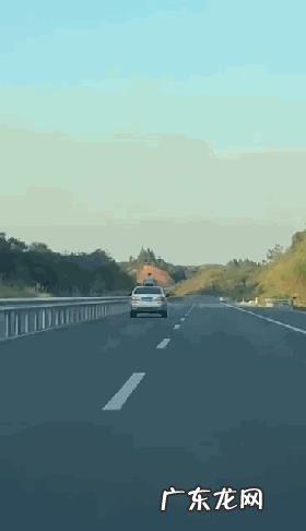 江西13岁男孩被限速杆撞死,到底谁该负责任?