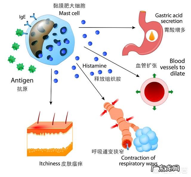 海鲜过敏是不是什么海鲜都不能吃了？