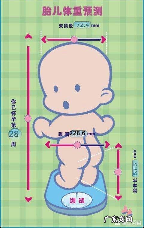 怎样算出胎儿体重？