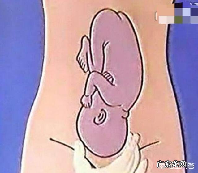 怎样算出胎儿体重？