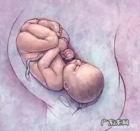 怎样算出胎儿体重？