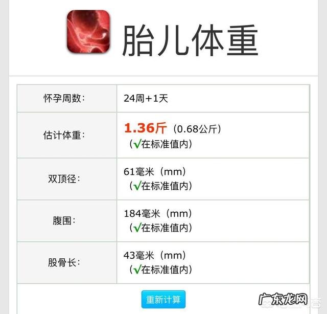 怎样算出胎儿体重？